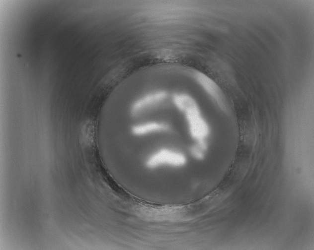 X0000073930036200608111212