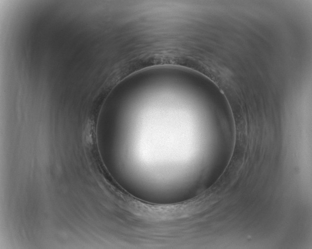 X0000073930038200608111212