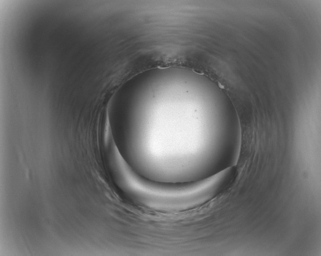 X0000073930039200608111212