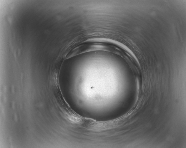 X0000073930045200608111212