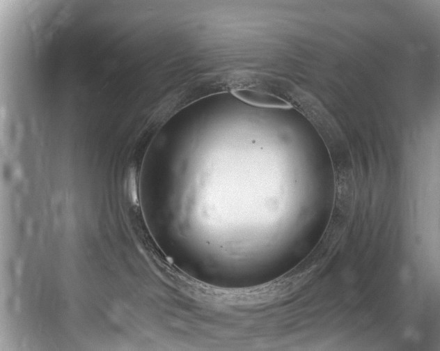 X0000073930046200608111212