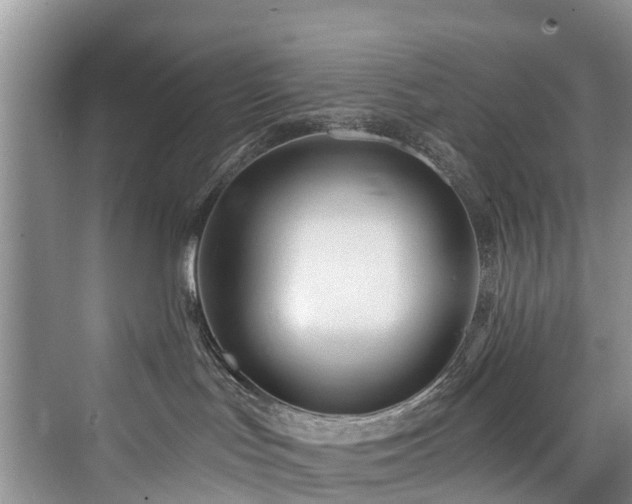 X0000073930047200608111211