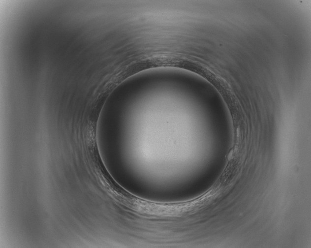 X0000073930048200608111211