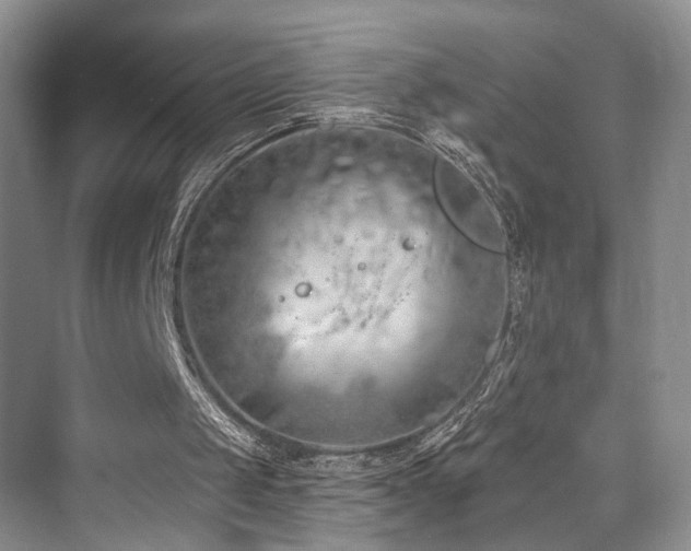 X0000073930049200608111211