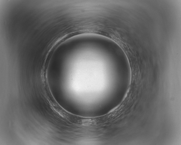 X0000073930050200608111211