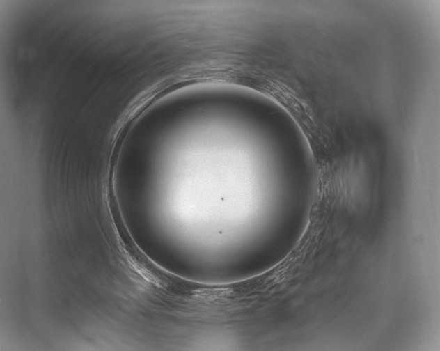 X0000073930051200608111211