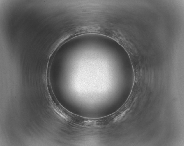 X0000073930052200608111211