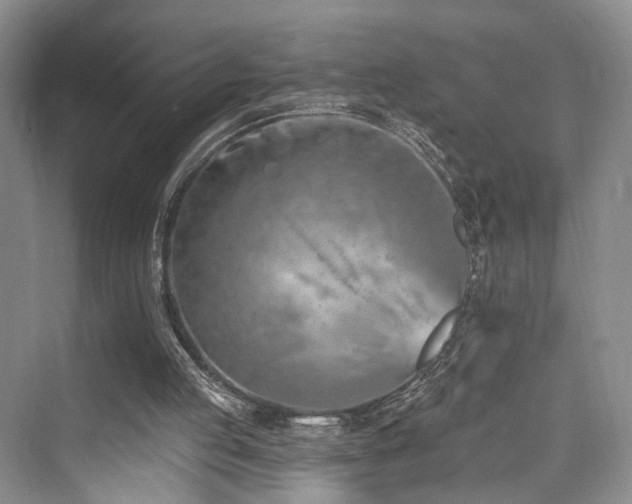 X0000073930053200608111211