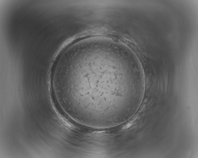 X0000073930054200608111211