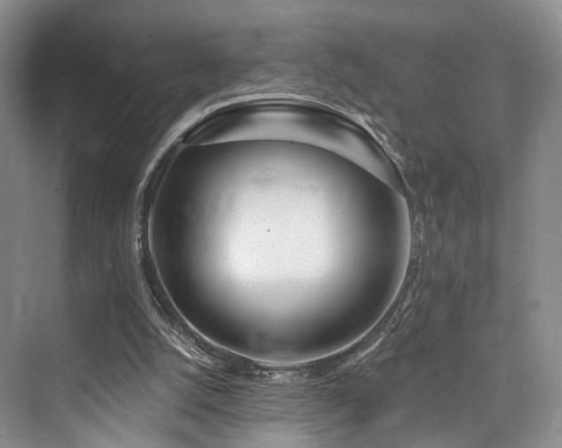 X0000073930056200608111211