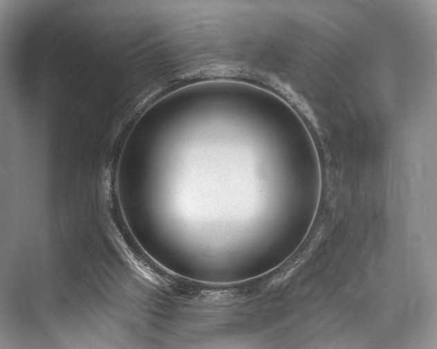 X0000073930057200608111211