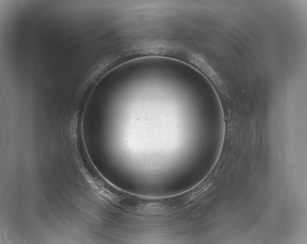 X0000073930058200608111211