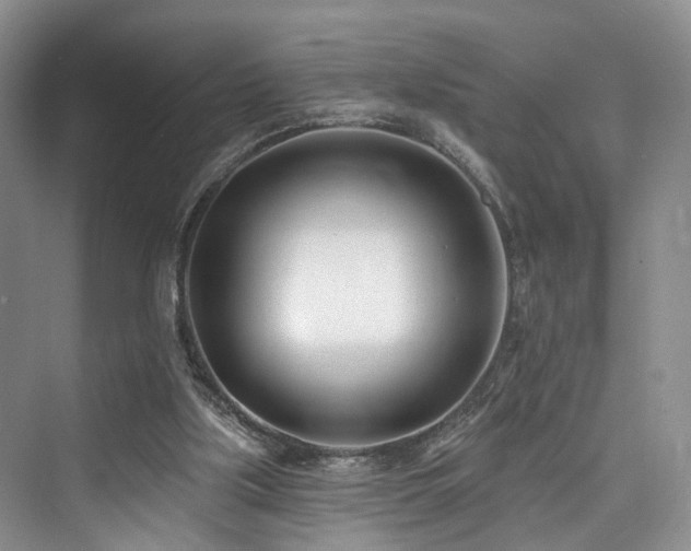 X0000073930059200608111211