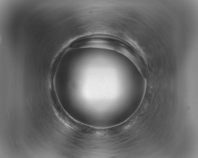 X0000073930060200608111211