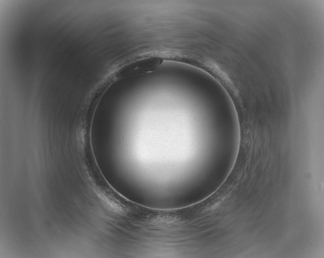 X0000073930063200608111211