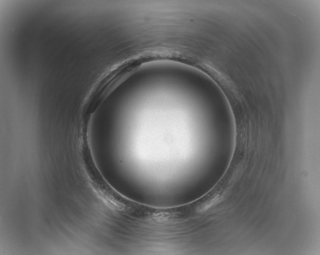 X0000073930064200608111211