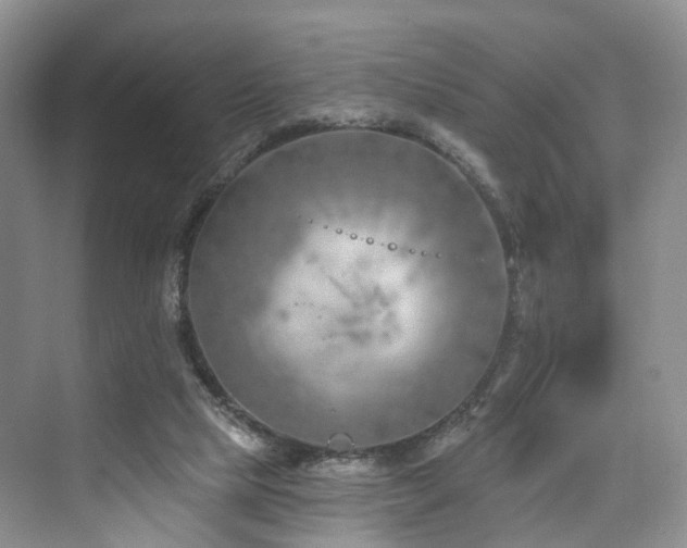 X0000073930065200608111211