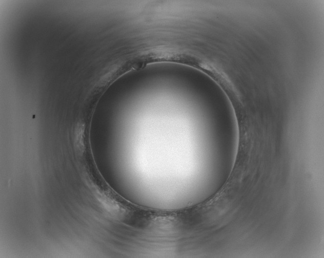 X0000073930066200608111211