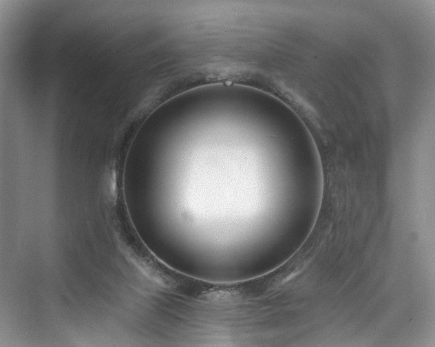 X0000073930067200608111211