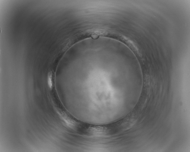 X0000073930069200608111211