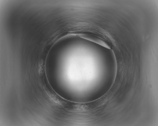 X0000073930073200608111211