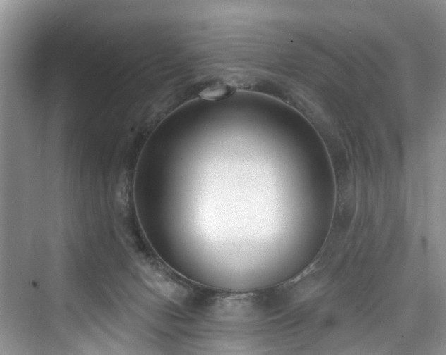 X0000073930078200608111211