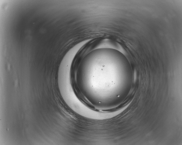 X0000073930092200608111211