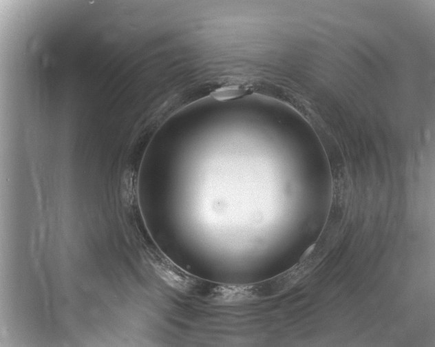 X0000073930093200608111211