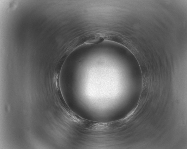 X0000073930094200608111211