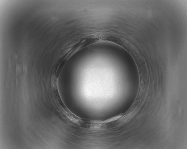 X0000073930096200608111211