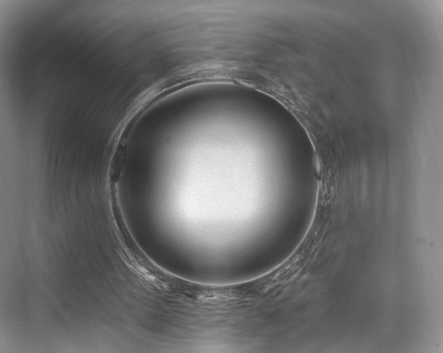 X0000073930099200608111211