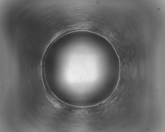 X0000073930100200608111211