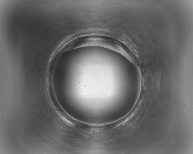 X0000073930101200608111211