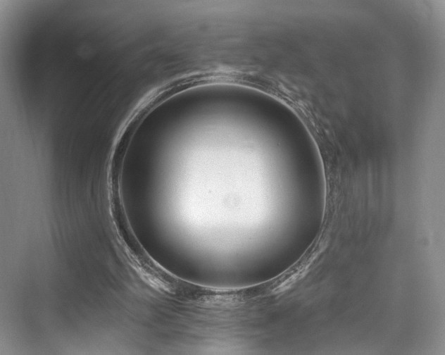 X0000073930102200608111211