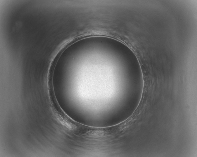 X0000073930104200608111211