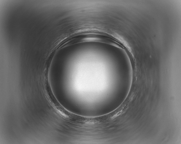 X0000073930105200608111211