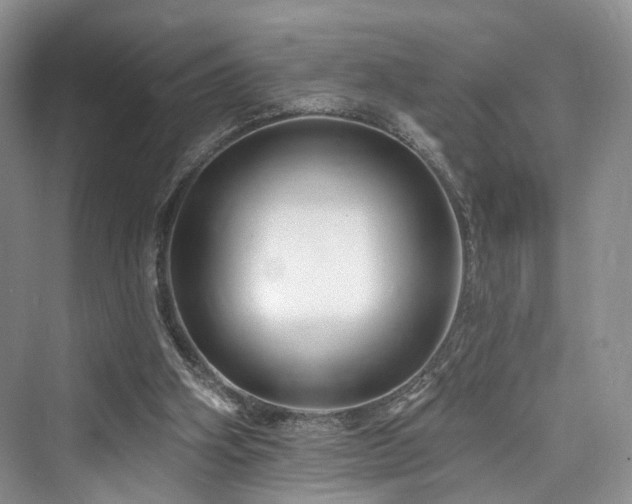 X0000073930106200608111210