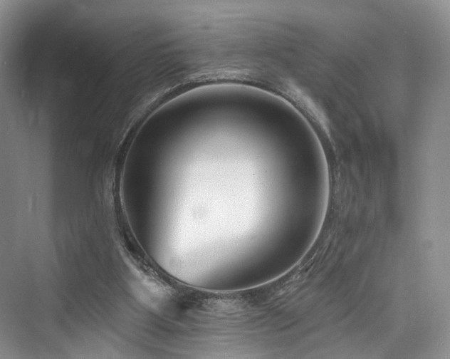 X0000073930107200608111210