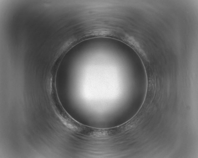 X0000073930110200608111210