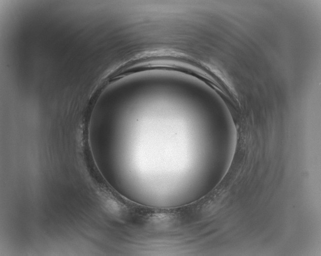 X0000073930111200608111210