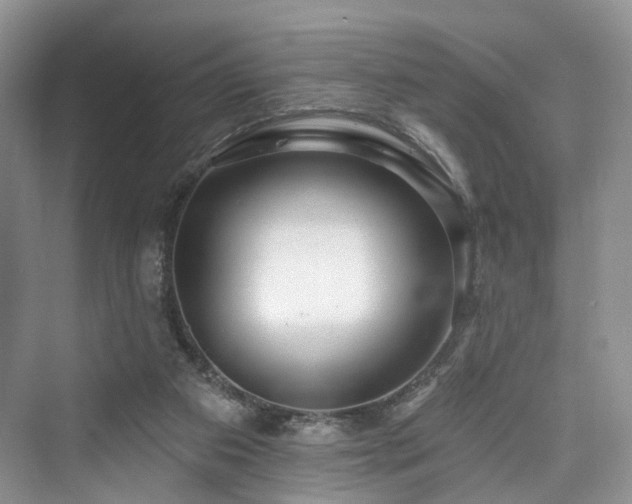 X0000073930113200608111210