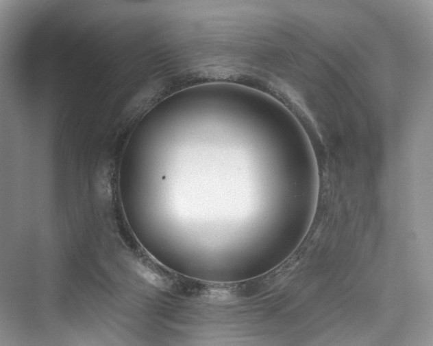 X0000073930114200608111210