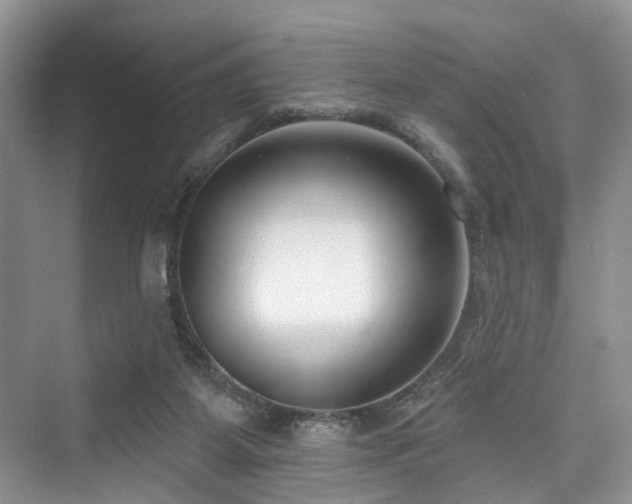 X0000073930115200608111210