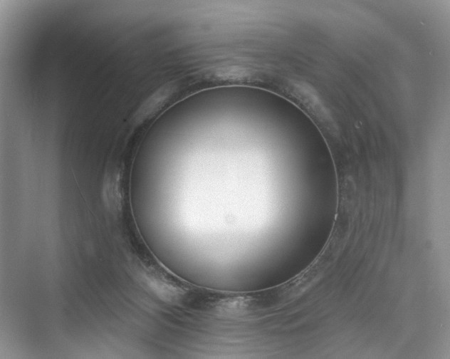 X0000073930116200608111210