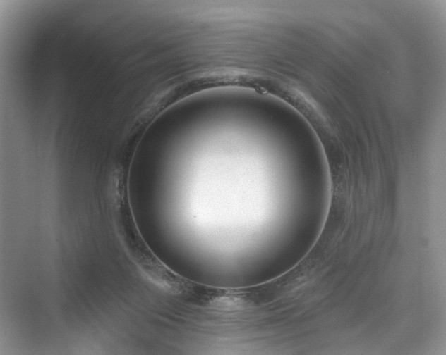 X0000073930119200608111210