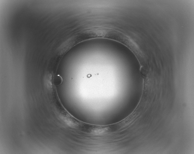 X0000073930122200608111210