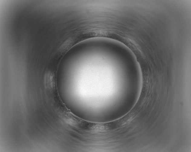 X0000073930123200608111210