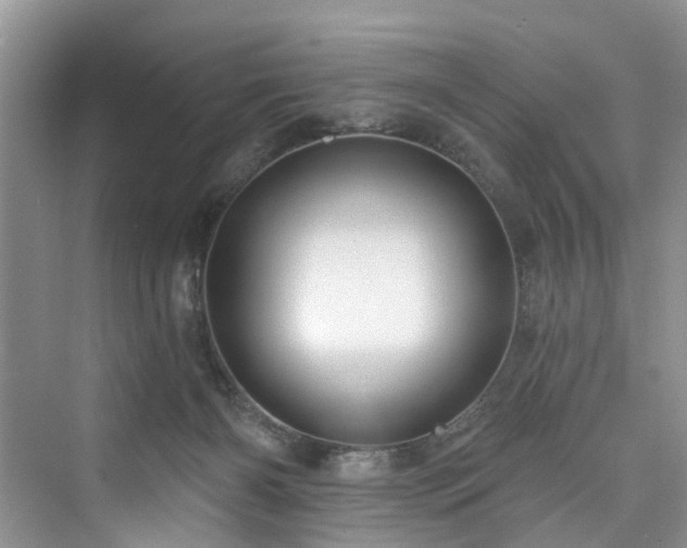 X0000073930126200608111210