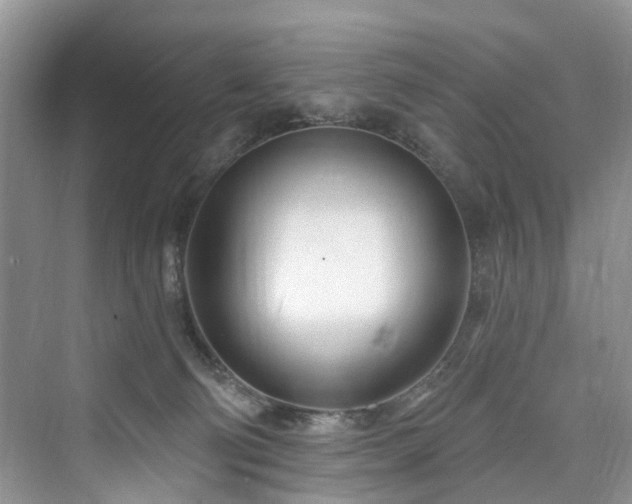 X0000073930130200608111210