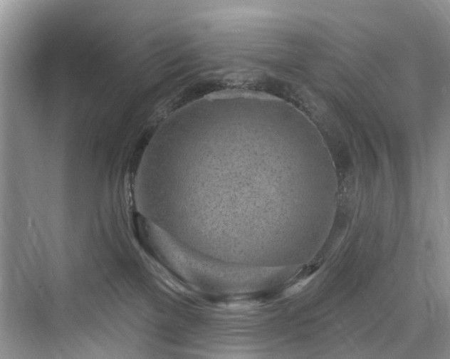 X0000073930137200608111210